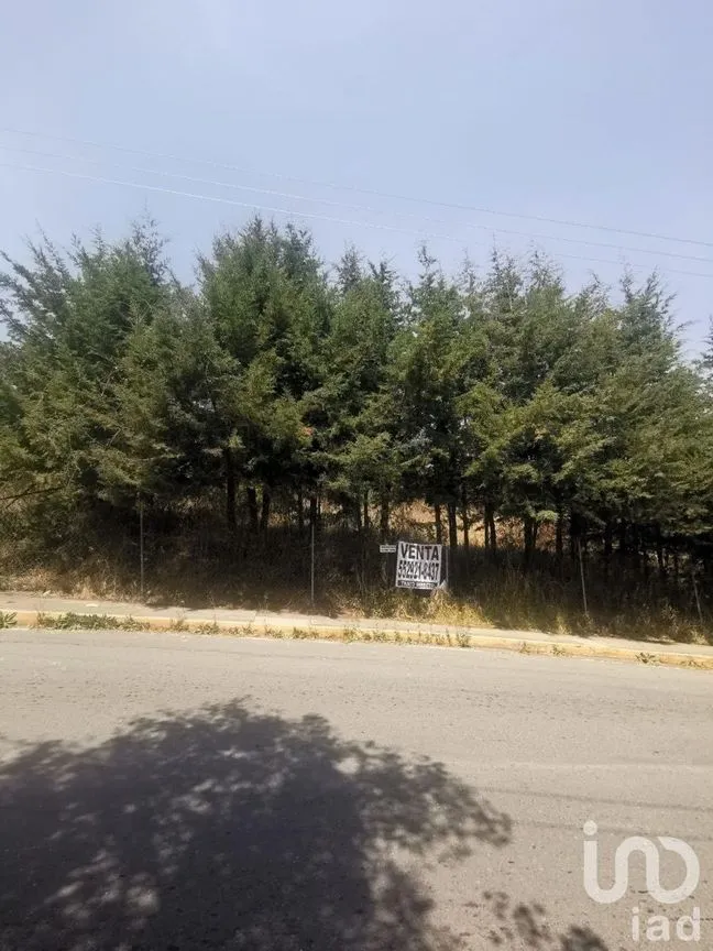 Terreno en Venta en Espíritu Santo, Jilotzingo, Estado De México | NEX-229301 | iad México | Foto 14 de 14