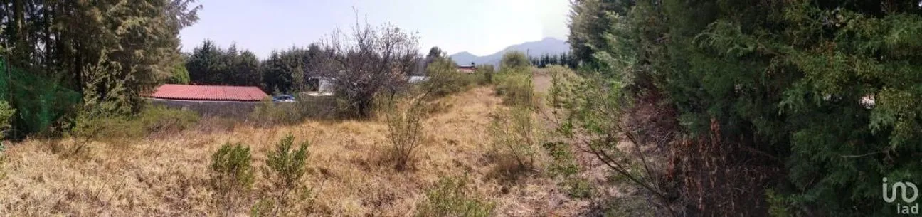 Terreno en Venta en Espíritu Santo, Jilotzingo, Estado De México | NEX-229301 | iad México | Foto 4 de 14