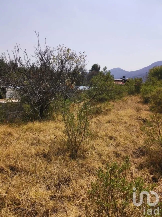 Terreno en Venta en Espíritu Santo, Jilotzingo, Estado De México | NEX-229301 | iad México | Foto 5 de 14
