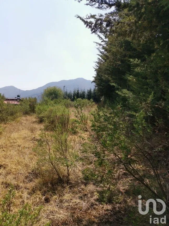 Terreno en Venta en Espíritu Santo, Jilotzingo, Estado De México | NEX-229301 | iad México | Foto 6 de 14