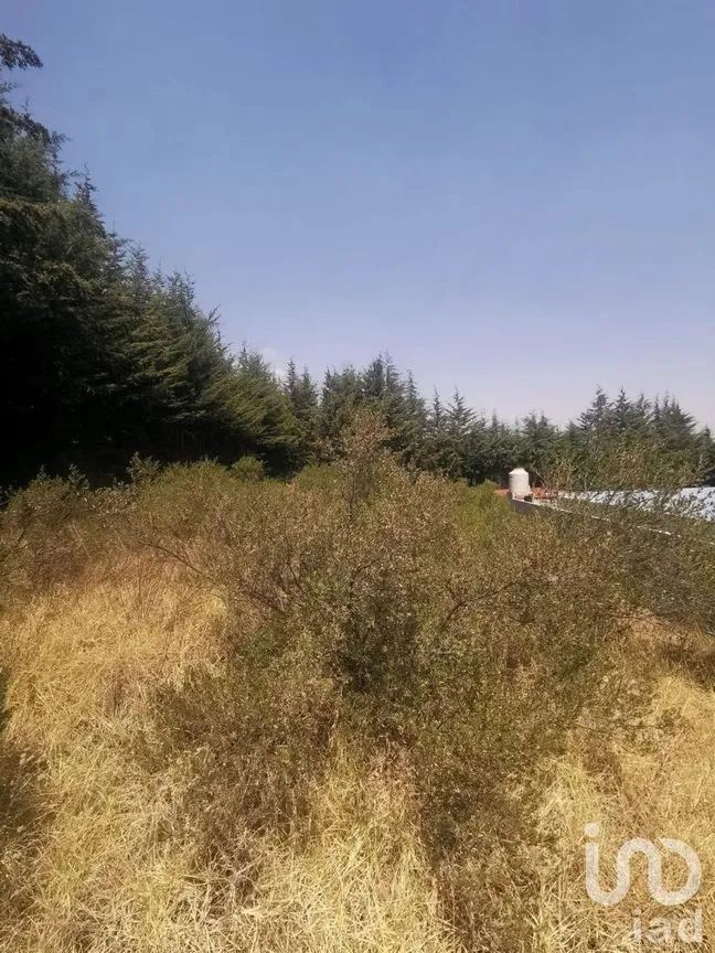 Terreno en Venta en Espíritu Santo, Jilotzingo, Estado De México | NEX-229301 | iad México | Foto 7 de 14