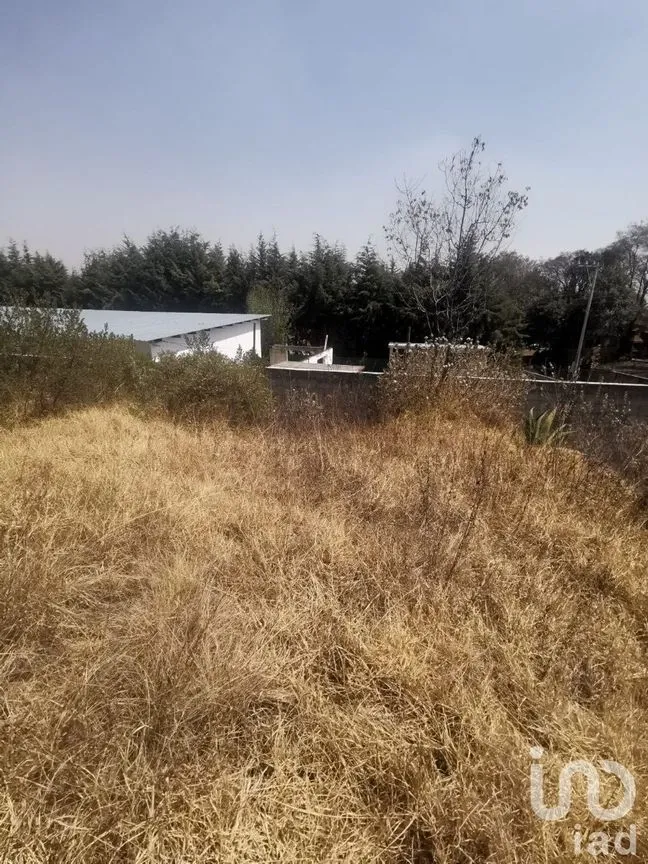 Terreno en Venta en Espíritu Santo, Jilotzingo, Estado De México | NEX-229301 | iad México | Foto 8 de 14