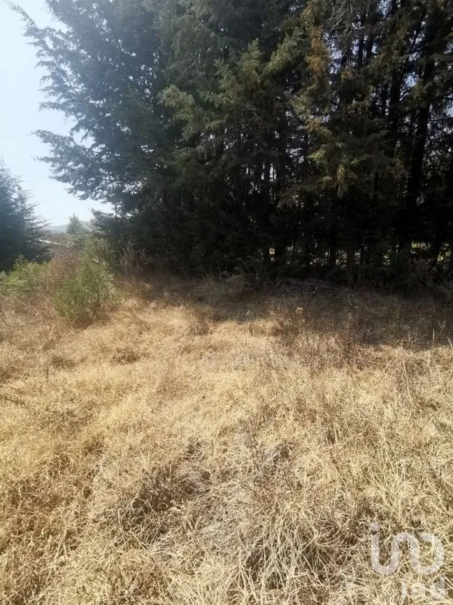 Terreno en Venta en Espíritu Santo, Jilotzingo, Estado De México | NEX-229301 | iad México | Foto 9 de 14