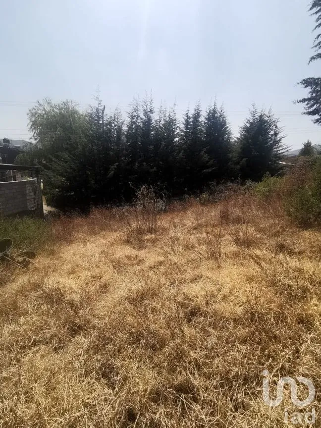 Terreno en Venta en Espíritu Santo, Jilotzingo, Estado De México | NEX-229301 | iad México | Foto 10 de 14