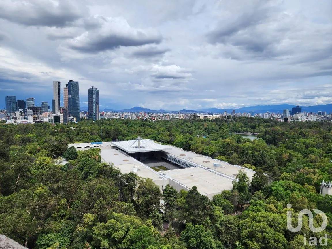 Departamento en Venta en Polanco V Sección, Miguel Hidalgo, Ciudad de México | NEX-250604 | iad México | Foto 33 de 35