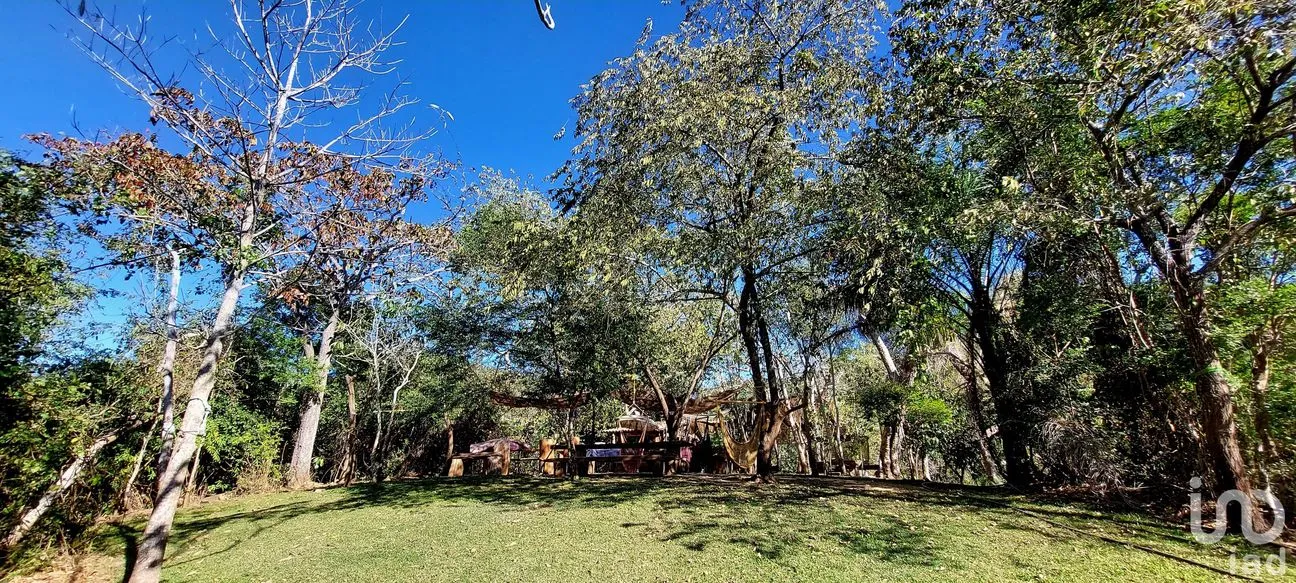 Terreno en Venta en Presa Cajón de Peña (La Presa), Tomatlán, Jalisco | NEX-185931 | iad México | Foto 6 de 19