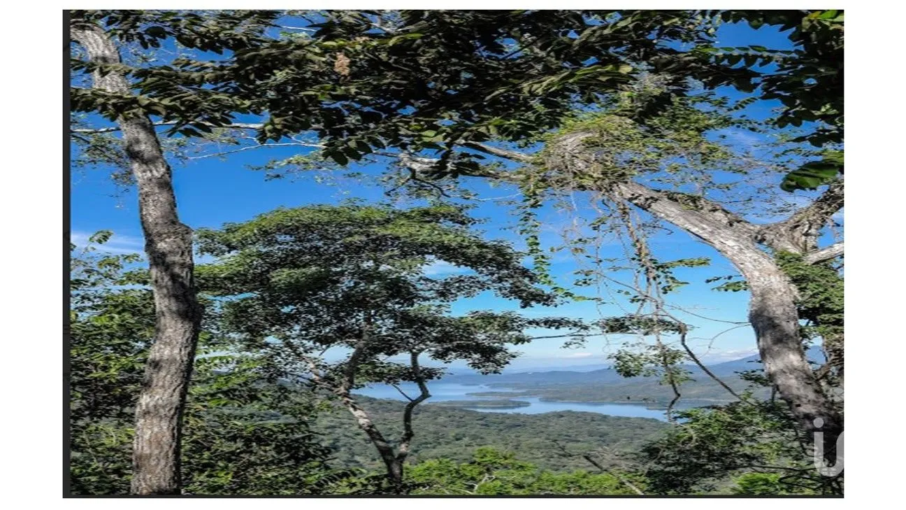 Terreno en Venta en Presa Cajón de Peña (La Presa), Tomatlán, Jalisco | NEX-185931 | iad México | Foto 1 de 19