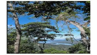 NEX-185931 - Terreno en Venta, con 3282 m2 de construcción en Presa Cajón de Peña (La Presa), CP 48450, Jalisco.