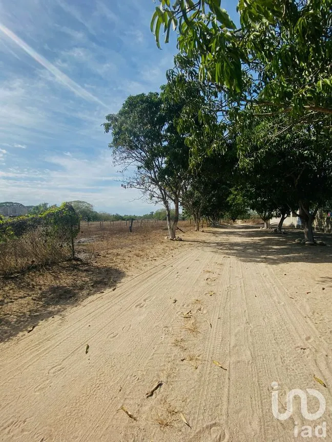 Terreno en Venta en Ixtapa, Puerto Vallarta, Jalisco | NEX-194325 | iad México | Foto 6 de 9