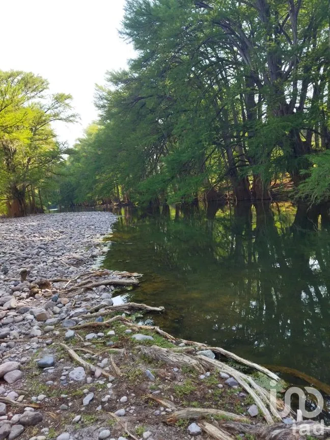 Terreno en Venta en El Venado, Nombre de Dios, Durango | NEX-205915 | iad México | Foto 3 de 3