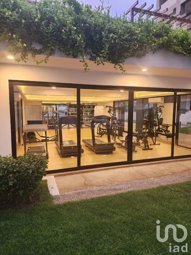 Departamento en Renta en Las Jarretaderas, Bahía de Banderas, Nayarit | NEX-210101 | iad México | Foto 12 de 14