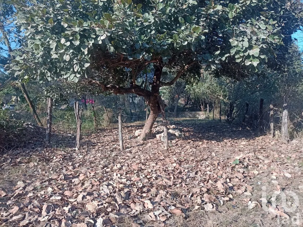 Terreno en Venta en Campestre las Cañadas II, Puerto Vallarta, Jalisco | NEX-261949 | iad México | Foto 2 de 4