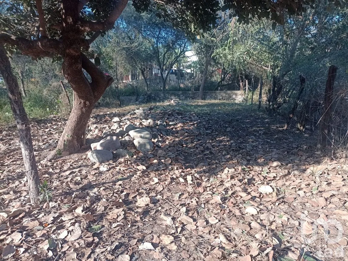 Terreno en Venta en Campestre las Cañadas II, Puerto Vallarta, Jalisco | NEX-261949 | iad México | Foto 3 de 4