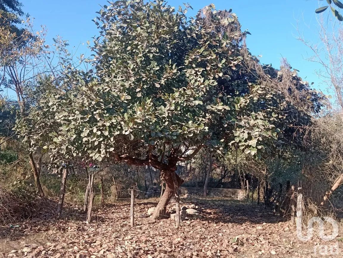 Terreno en Venta en Campestre las Cañadas II, Puerto Vallarta, Jalisco | NEX-261949 | iad México | Foto 1 de 4