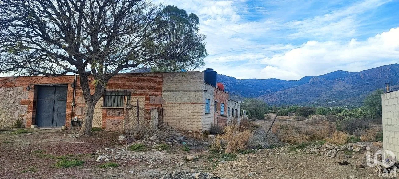 Terreno en Venta en San Juan Tilcuautla, San Agustín Tlaxiaca, Hidalgo | NEX-193505 | iad México | Foto 3 de 8