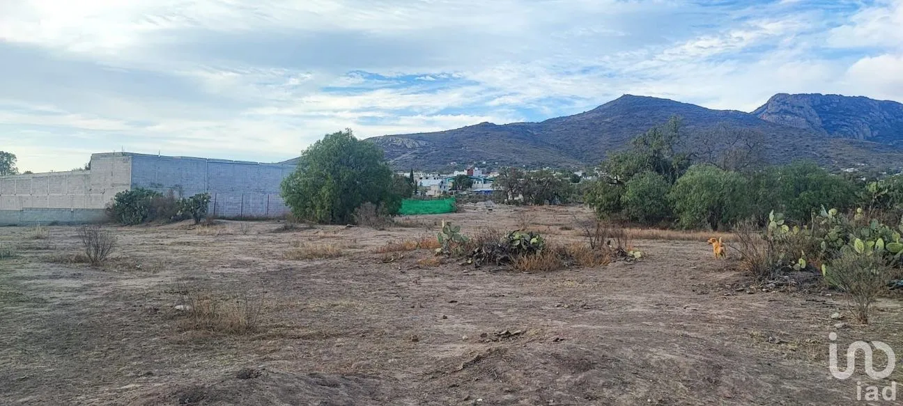 Terreno en Venta en San Juan Tilcuautla, San Agustín Tlaxiaca, Hidalgo | NEX-193505 | iad México | Foto 7 de 8