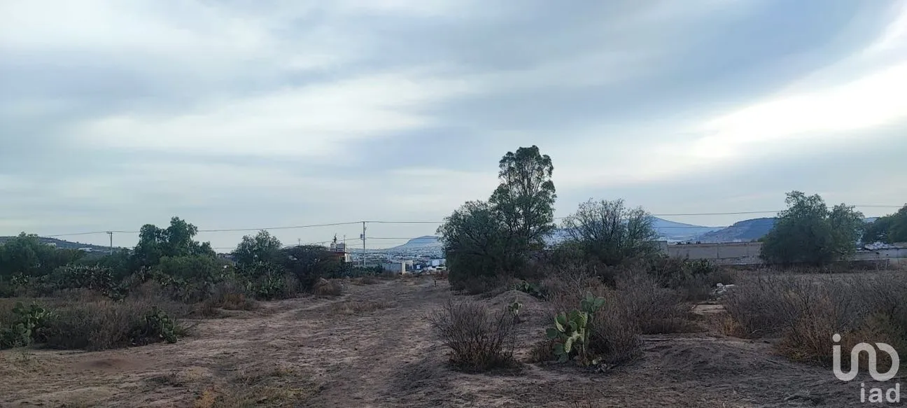 Terreno en Venta en San Juan Tilcuautla, San Agustín Tlaxiaca, Hidalgo | NEX-193505 | iad México | Foto 8 de 8