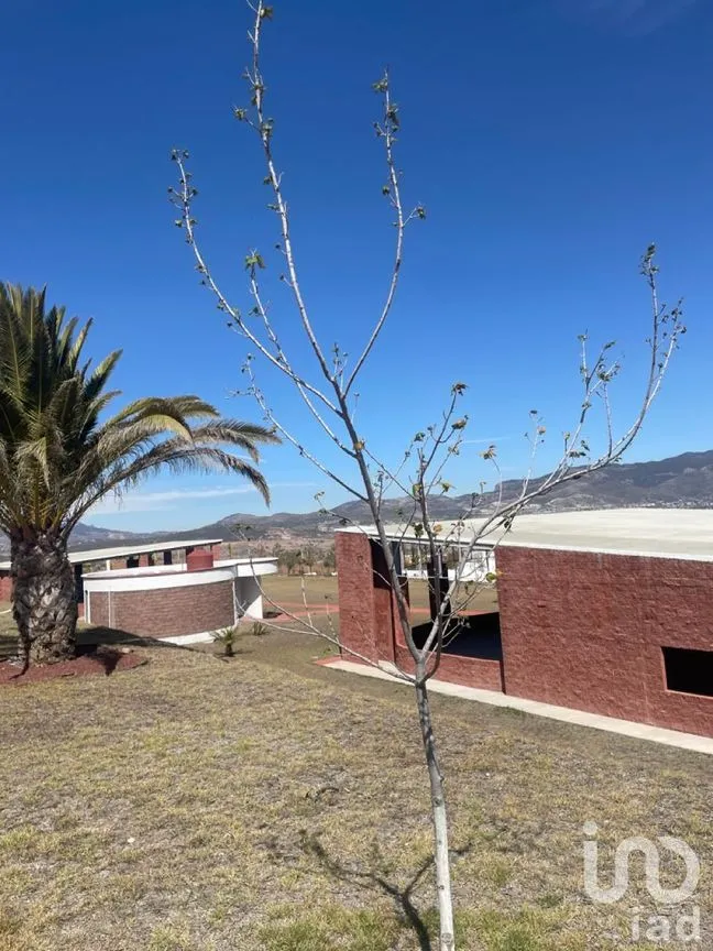 Terreno en Venta en Santa Catarina, San Agustín Tlaxiaca, Hidalgo | NEX-193765 | iad México | Foto 8 de 12