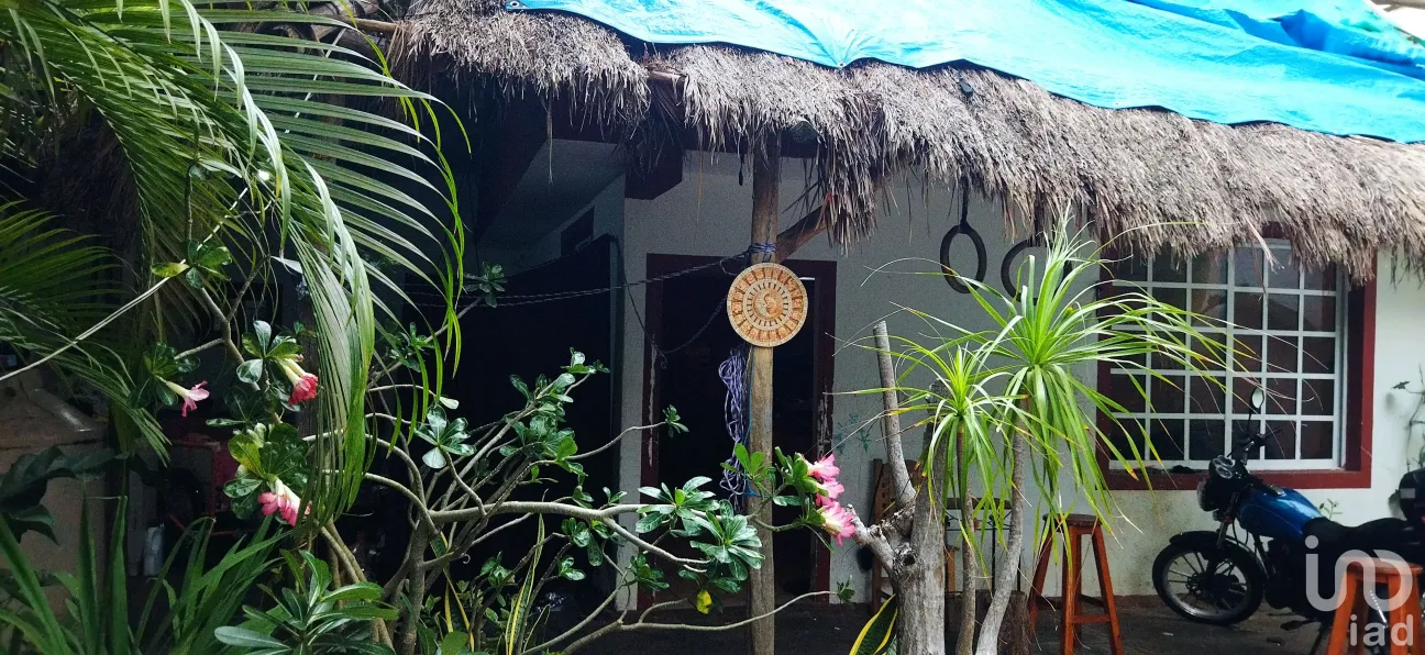 Casa en Venta en Gonzalo Guerrero, Solidaridad, Quintana Roo | NEX-157577 | iad México | Foto 5 de 22
