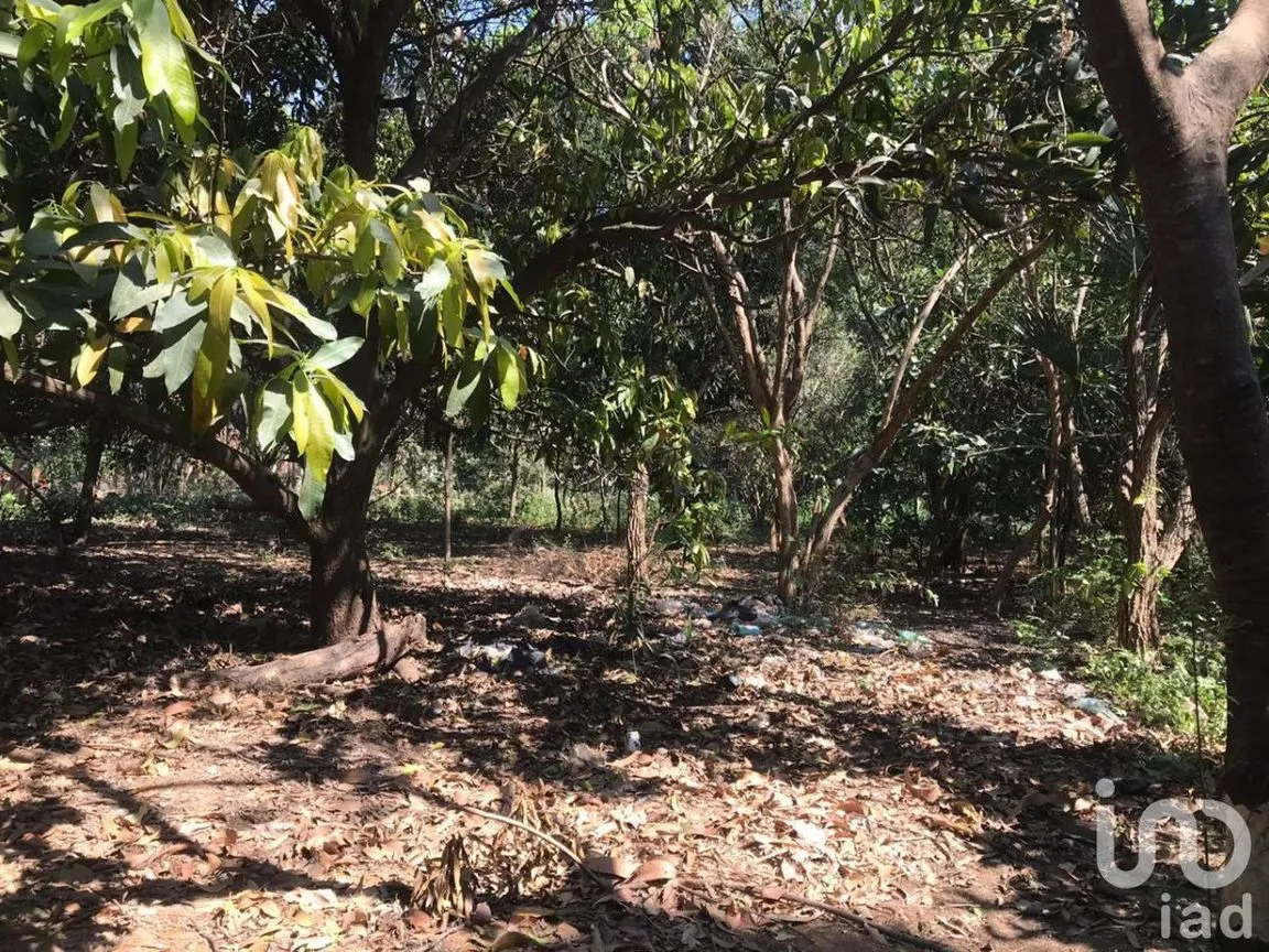 Terreno en Venta en Chiapa de Corzo Centro, Chiapa de Corzo, Chiapas