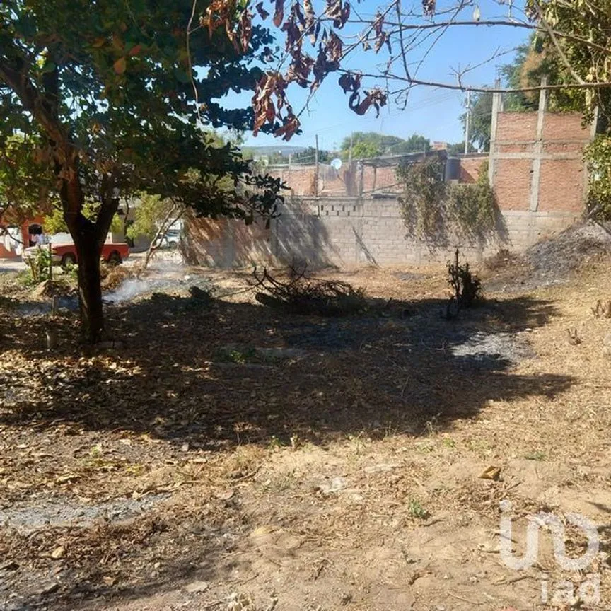 Terreno en Venta en Benito Juárez, Chiapa de Corzo, Chiapas | NEX-231958 | iad México | Foto 2 de 2