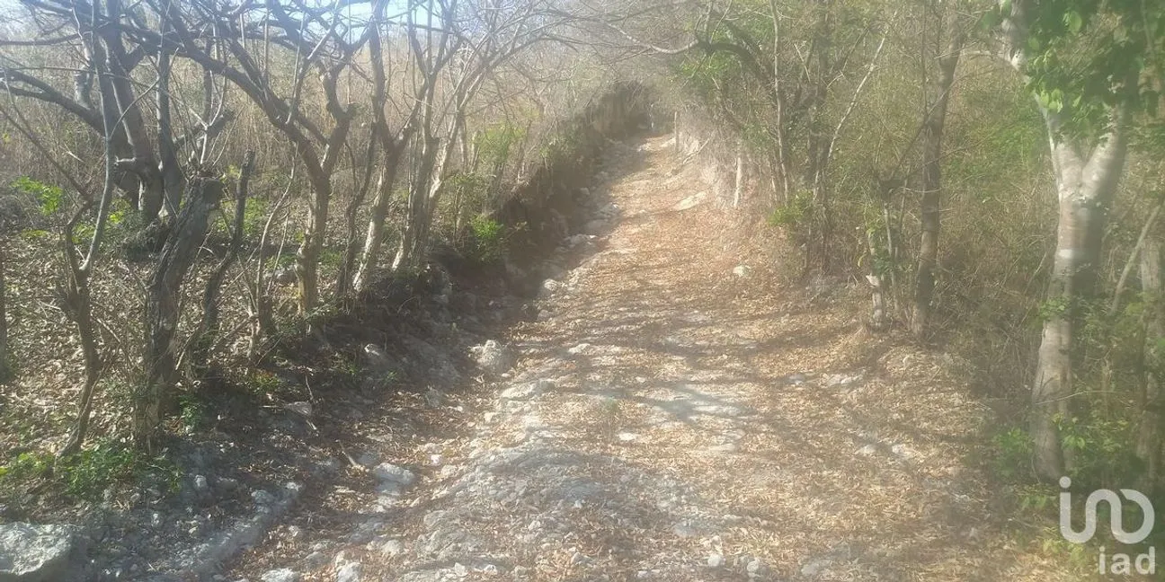 Terreno en Venta en Rivera Cerro Hueco, Tuxtla Gutiérrez, Chiapas | NEX-231959 | iad México | Foto 7 de 7