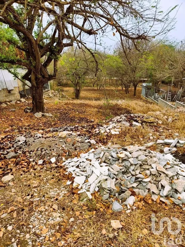 Terreno en Venta en Copoya, Tuxtla Gutiérrez, Chiapas | NEX-231963 | iad México | Foto 3 de 3