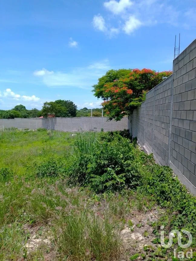 Terreno en Renta en Tuxtla Gutiérrez (Francisco Sarabia), Ocozocoautla de Espinosa, Chiapas | NEX-231975 | iad México | Foto 3 de 5