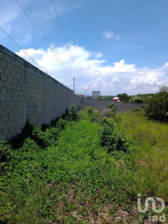 Terreno en Renta en Tuxtla Gutiérrez (Francisco Sarabia), Ocozocoautla de Espinosa, Chiapas | NEX-231975 | iad México | Foto 4 de 5