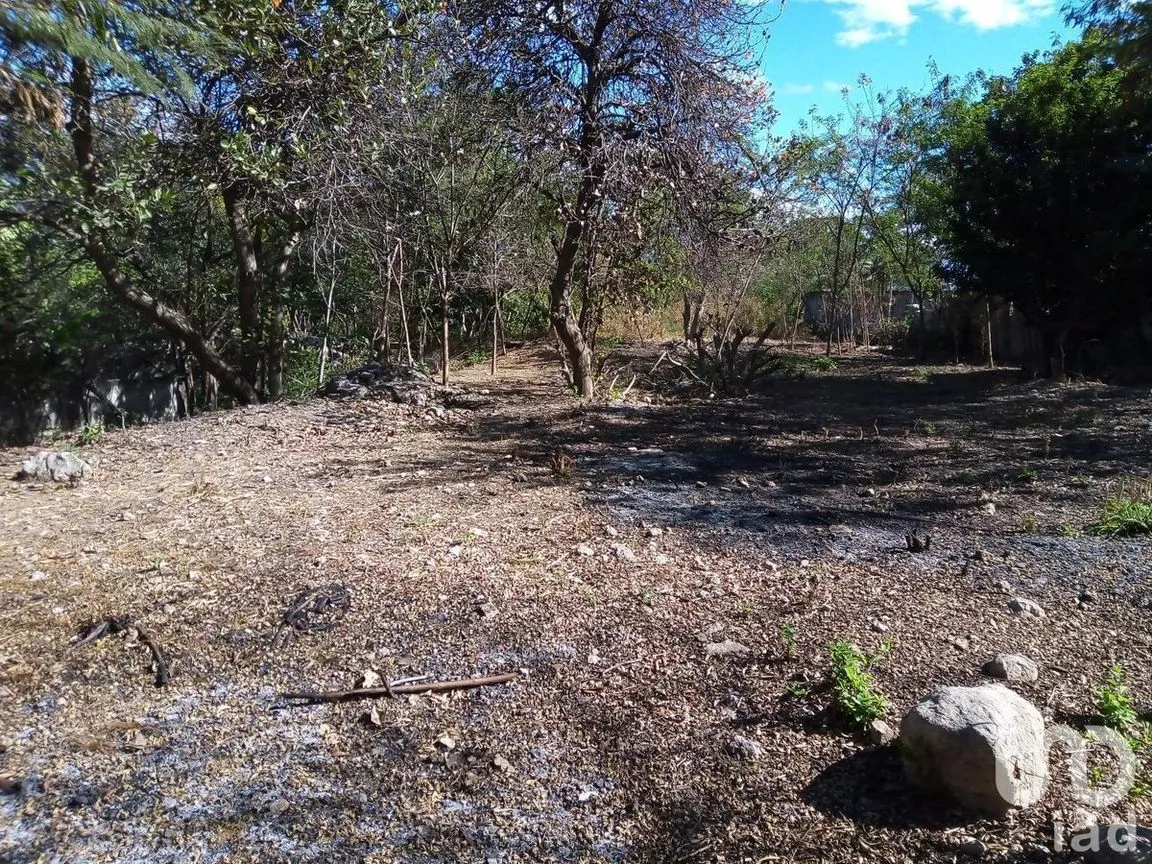 Terreno en Venta en San Juan Bautista, Tuxtla Gutiérrez, Chiapas | NEX-231977 | iad México | Foto 3 de 8