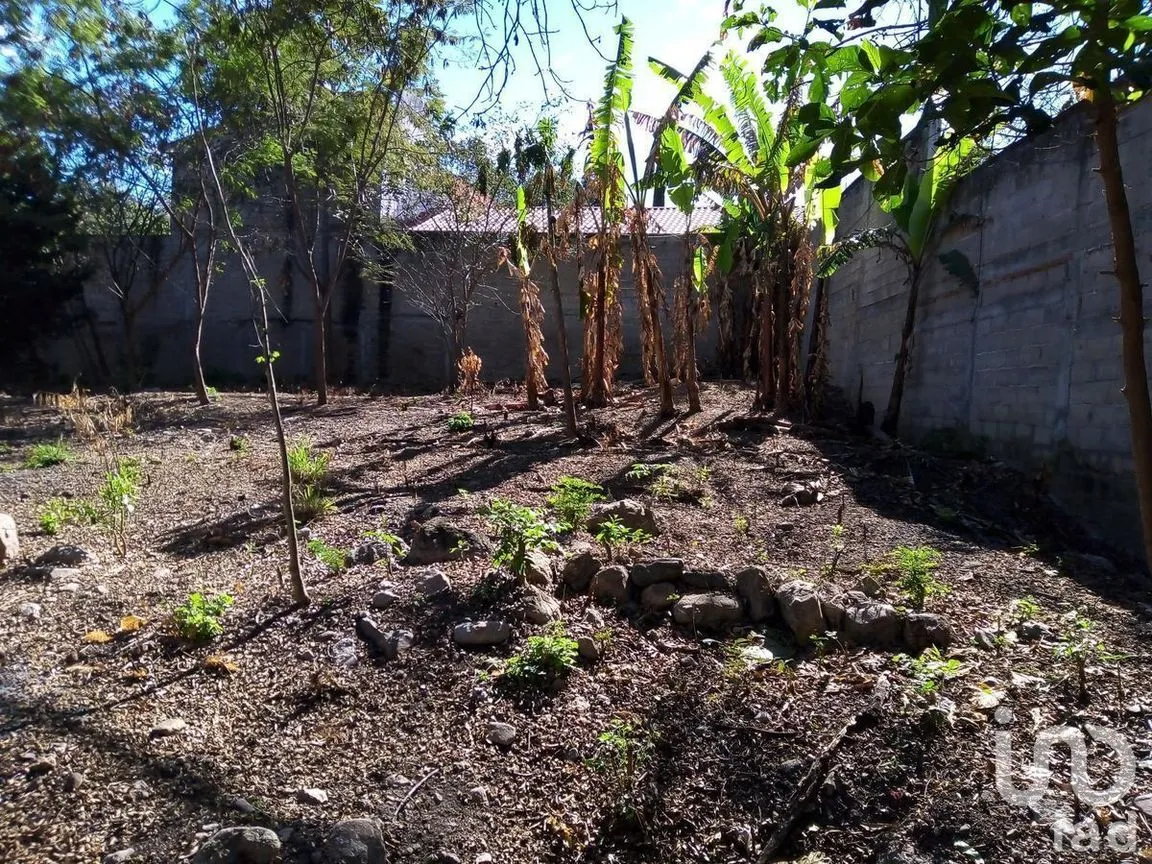 Terreno en Venta en San Juan Bautista, Tuxtla Gutiérrez, Chiapas | NEX-231977 | iad México | Foto 4 de 8