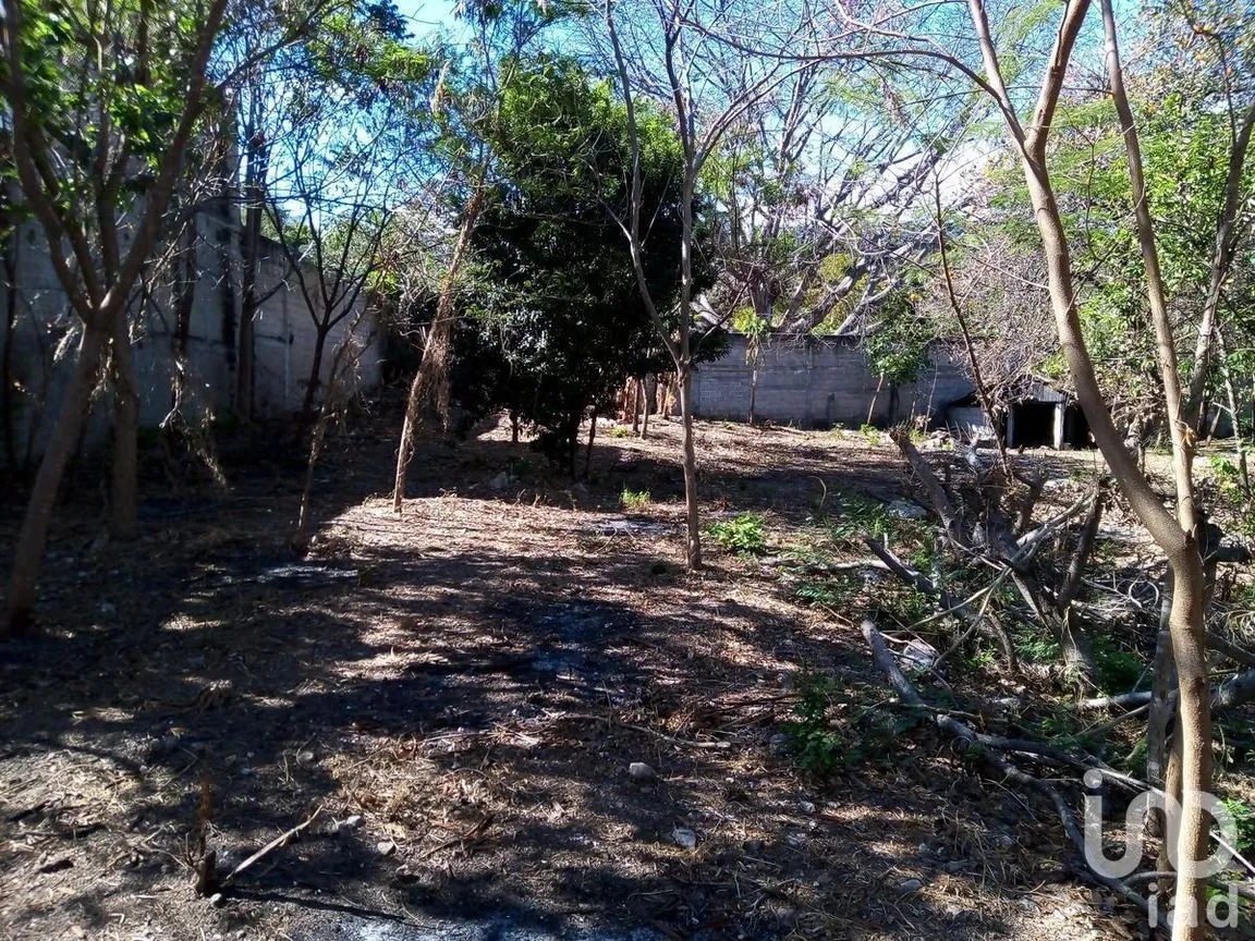 Terreno en Venta en San Juan Bautista, Tuxtla Gutiérrez, Chiapas | NEX-231977 | iad México | Foto 5 de 8
