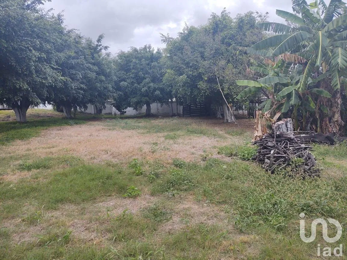 Terreno en Venta en Industrial, Tuxtla Gutiérrez, Chiapas | NEX-231988 | iad México | Foto 6 de 11