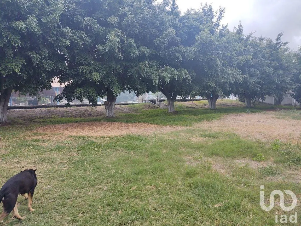 Terreno en Venta en Industrial, Tuxtla Gutiérrez, Chiapas | NEX-231988 | iad México | Foto 8 de 11