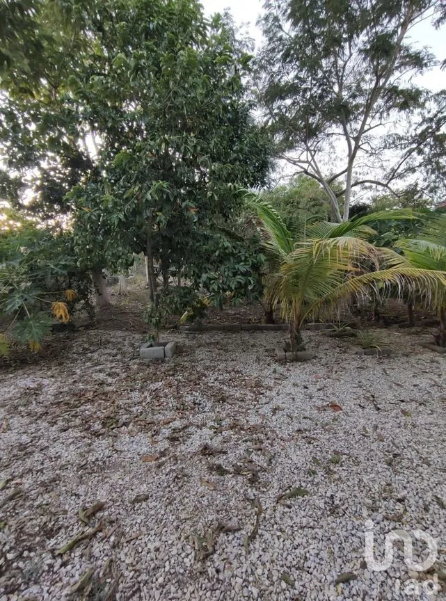 Terreno en Venta en Rivera Cupia, Chiapa de Corzo, Chiapas | NEX-231989 | iad México | Foto 4 de 5