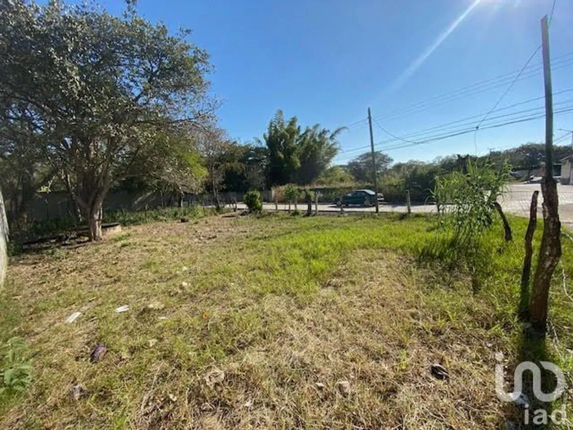 Terreno en Venta en San Miguel, Berriozábal, Chiapas | NEX-231995 | iad México | Foto 3 de 6