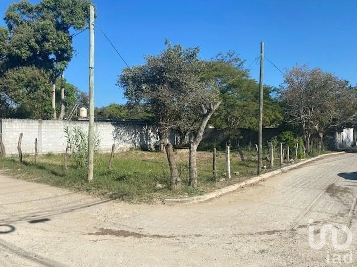 Terreno en Venta en San Miguel, Berriozábal, Chiapas | NEX-231995 | iad México | Foto 4 de 6