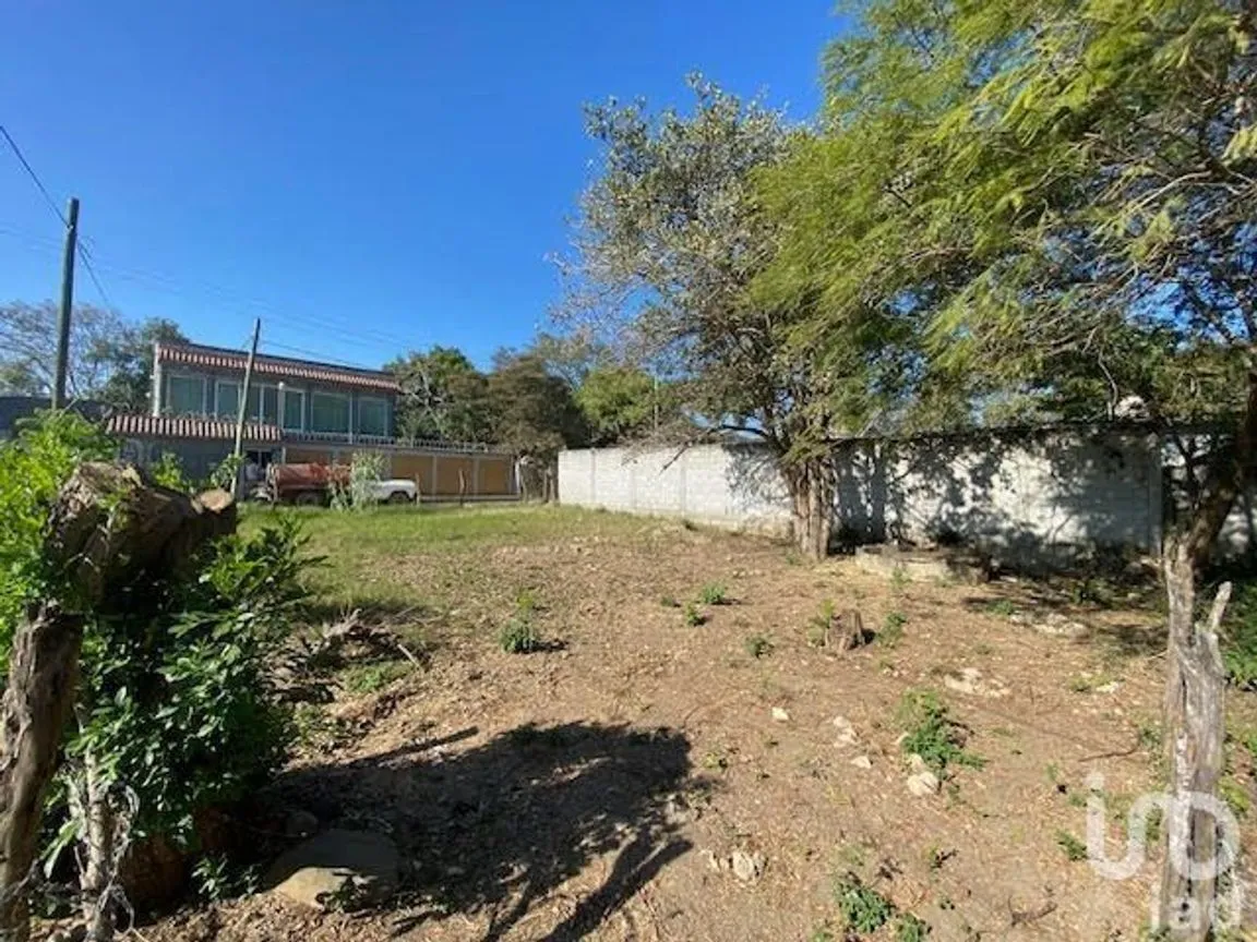 Terreno en Venta en San Miguel, Berriozábal, Chiapas | NEX-231995 | iad México | Foto 5 de 6