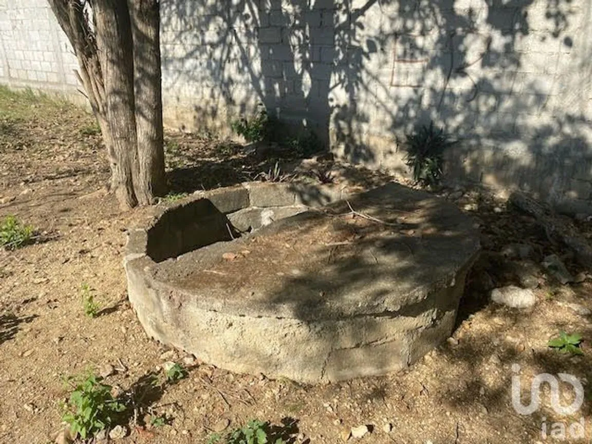 Terreno en Venta en San Miguel, Berriozábal, Chiapas | NEX-231995 | iad México | Foto 6 de 6