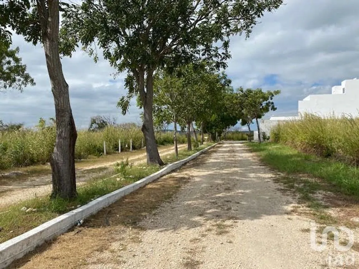 Terreno en Venta en Granjas Club Campestre, Tuxtla Gutiérrez, Chiapas | NEX-232003 | iad México | Foto 3 de 6