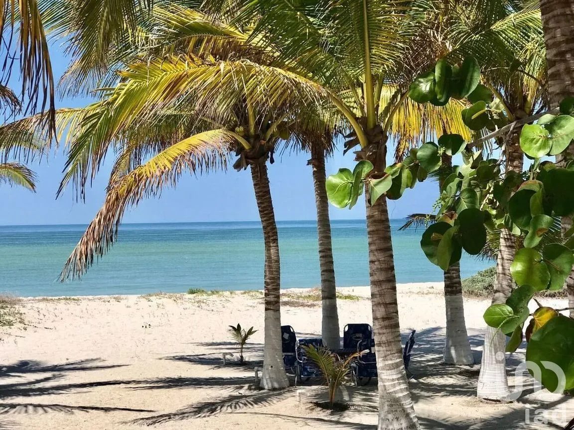Terreno en Venta en Sisal, Hunucmá, Yucatán | NEX-226646 | iad México | Foto 16 de 16