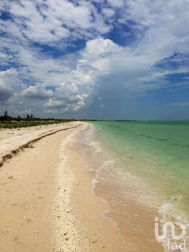 Terreno en Venta en Sisal, Hunucmá, Yucatán | NEX-226646 | iad México | Foto 5 de 16