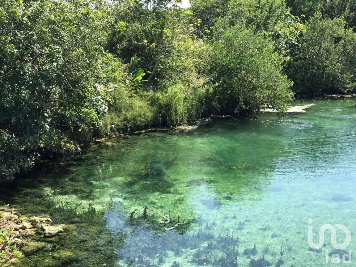 Terreno en Venta en Sisal, Hunucmá, Yucatán | NEX-226646 | iad México | Foto 6 de 16