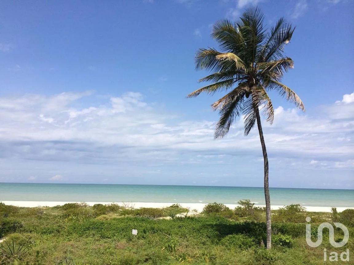 Terreno en Venta en Sisal, Hunucmá, Yucatán | NEX-226646 | iad México | Foto 10 de 16