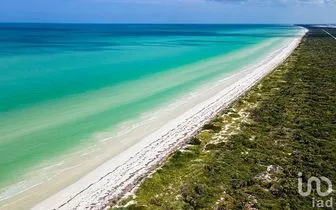 NEX-228373 - Terreno en Venta en Sisal, CP 97356, Yucatán.