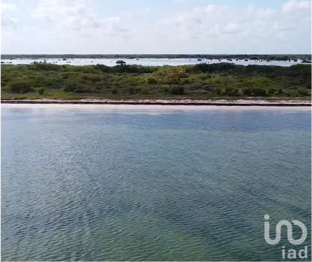 Terreno en Venta en Santa Clara, Dzidzantún, Yucatán | NEX-228864 | iad México | Foto 5 de 10