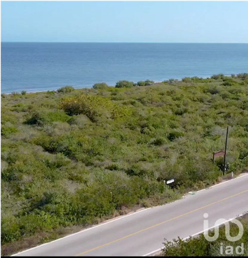 Terreno en Venta en Santa Clara, Dzidzantún, Yucatán | NEX-228864 | iad México | Foto 9 de 10