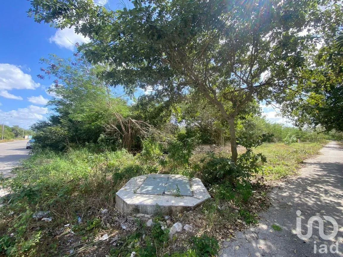 Terreno en Venta en Caucel, Mérida, Yucatán | NEX-232578 | iad México | Foto 12 de 14