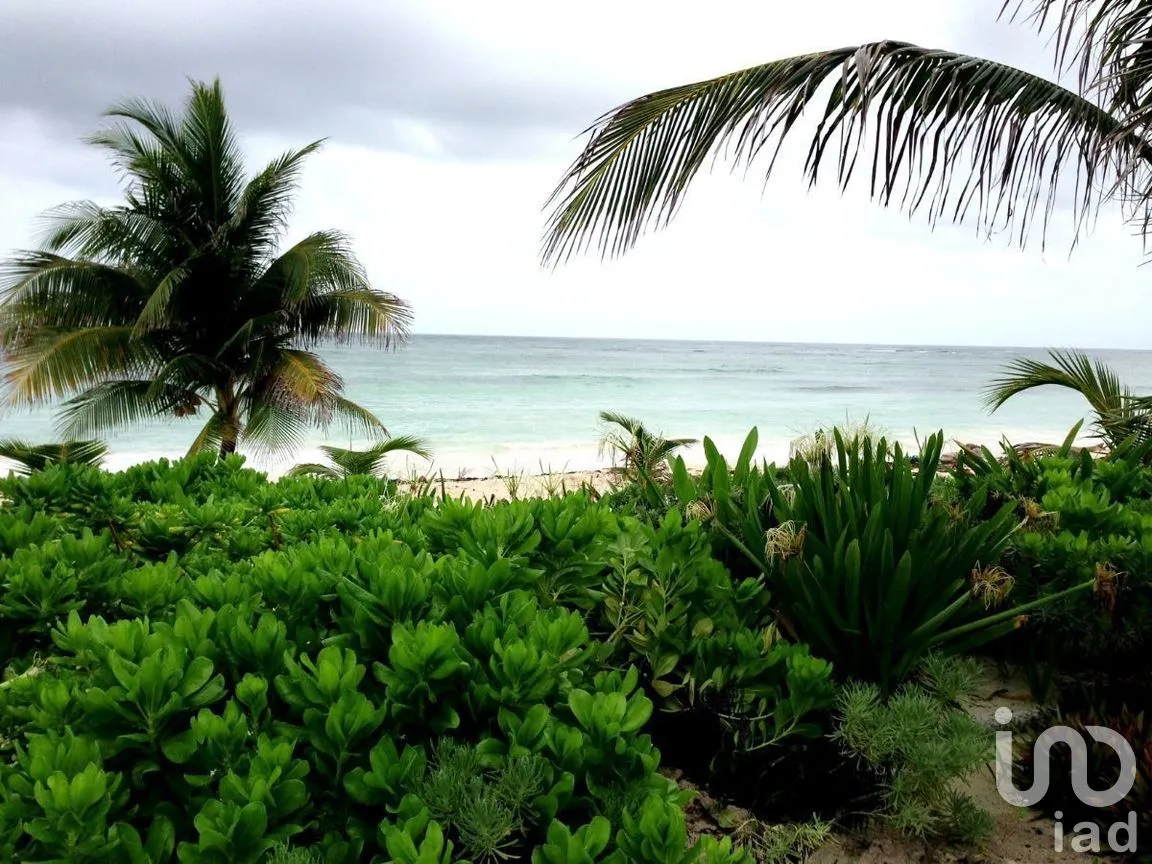Terreno en Venta en Mahahual, Othón P. Blanco, Quintana Roo | NEX-282310 | iad México | Foto 1 de 22