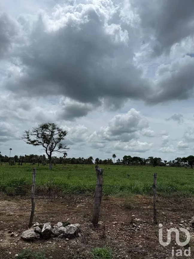Terreno en Venta en San Francisco, Tizimín, Yucatán | NEX-282317 | iad México | Foto 2 de 27